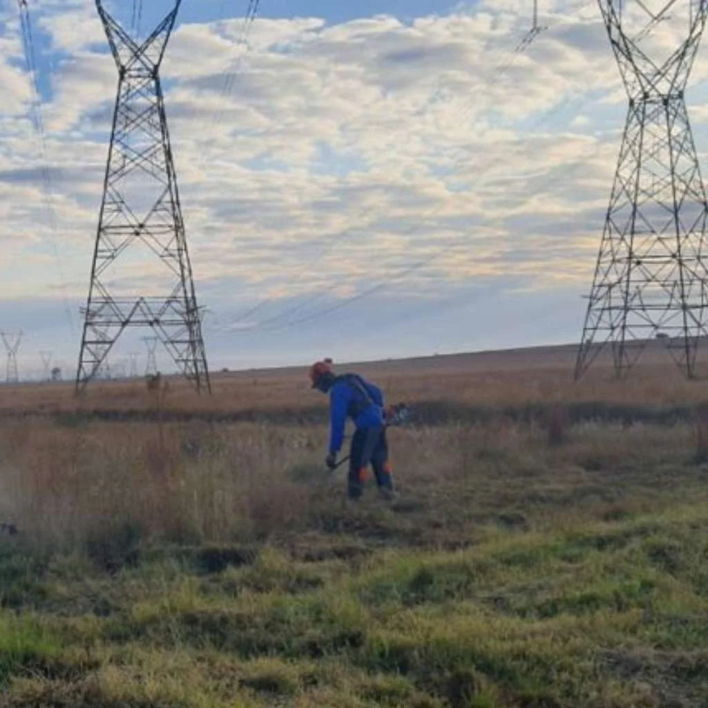 vegetation management